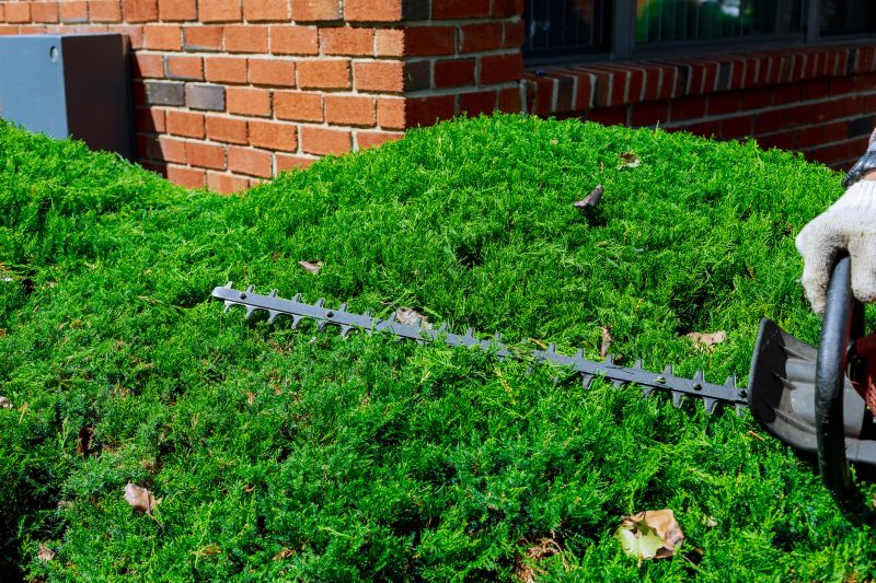 Type of Hedge