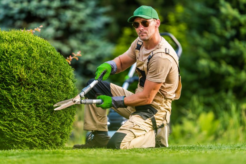 Hedge Removal Planning