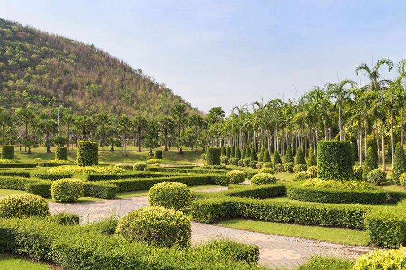 Pruned Bushes with Symmetry